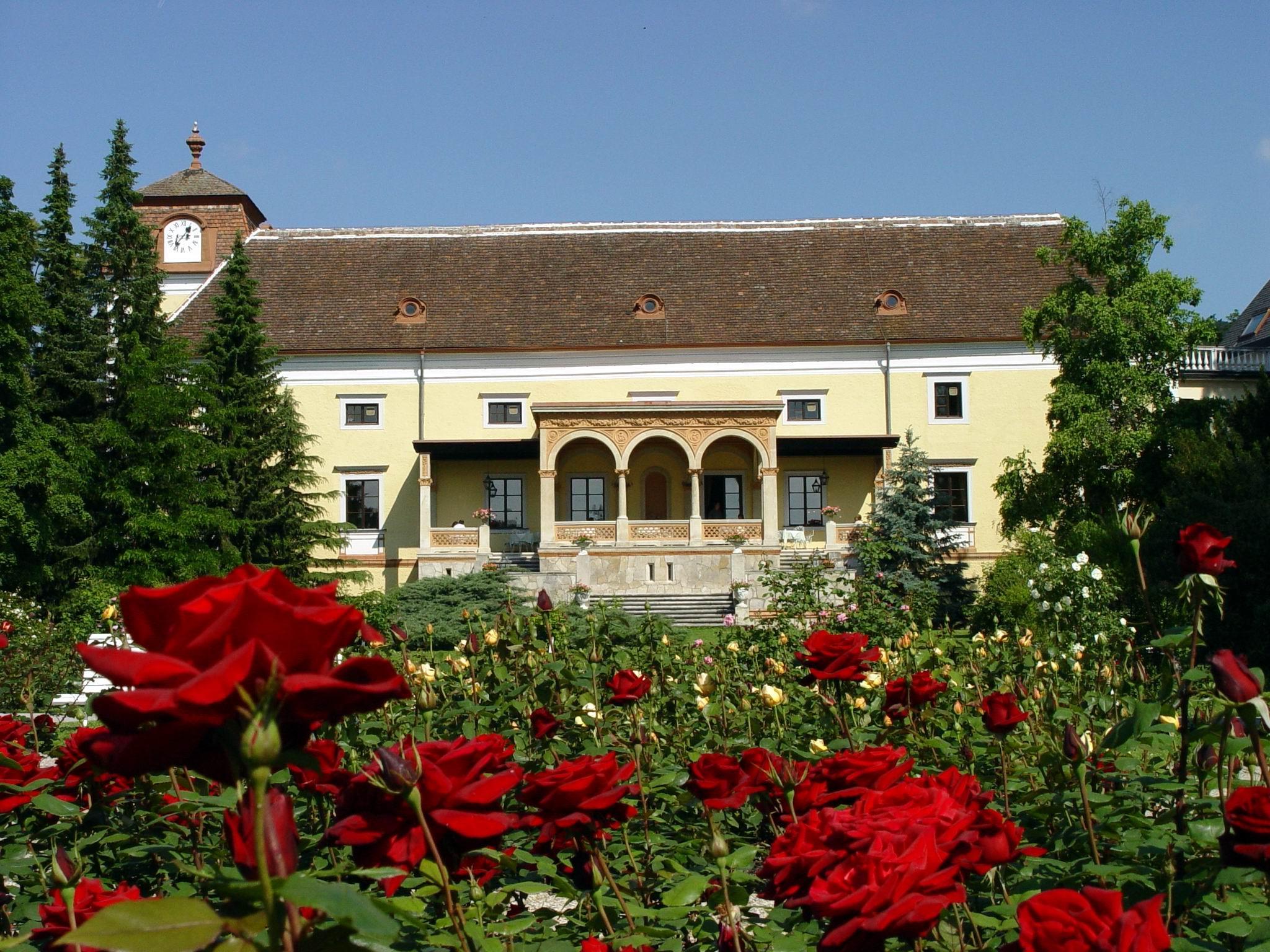 Schloss Weikersdorf Residenz and Spa Баден Экстерьер фото